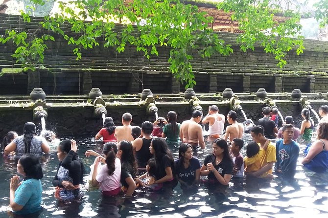 Bali Ubud Private Costomized Tour - Explore Bali your way - Tegalalang Rice Terrace trekking plus swing and zip-line add-ons