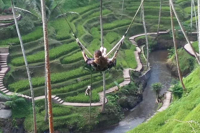Bali Ubud Private Costomized Tour - Explore Bali your way - Ubud art market plus Cantik Agriculture coffee lunch