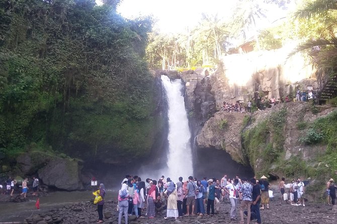Bali Ubud Private Costomized Tour - Explore Bali your way - Price and value: what $30 covers and what to budget