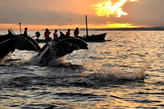 Bali Watching Dolphin at Lovina Beach & aling aling waterfall - Key points to know before you go