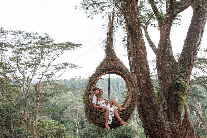Bali Waterfalls Adventure and Wanagiri Hidden Hill - Wanagiri Hidden Hills: Unmovable Swing Views Over the Lakes