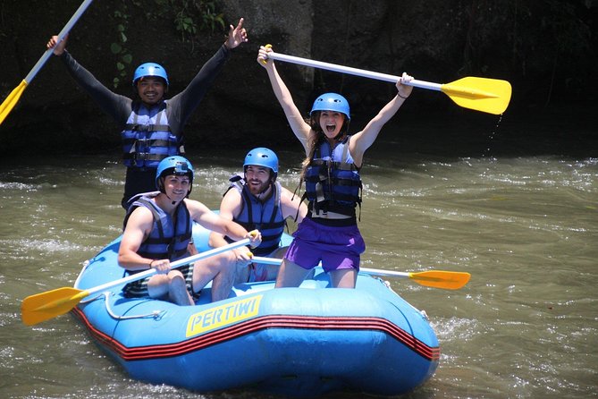 Bali White Water Rafting Ubud Ayung river rafting - Price and Value: Why Around $29.99 Can Make Sense