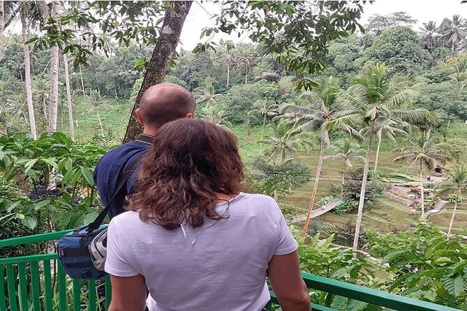 Banyumala Waterfall, Jatiluwih, Ulun Danu and Tanah Lot tours - Buyan and Tanblingan: Wanagiri’s Twin Lakes Viewpoints