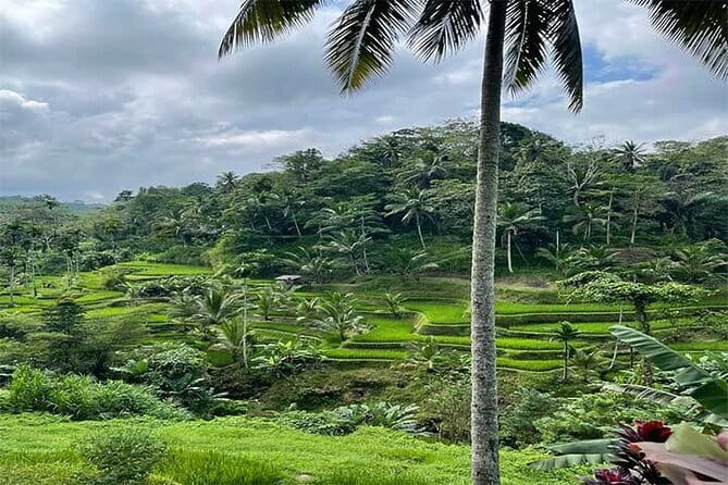 Banyumala Waterfall, Jatiluwih, Ulun Danu and Tanah Lot tours - Tanah Lot Temple: The Sea Temple on Its Rock
