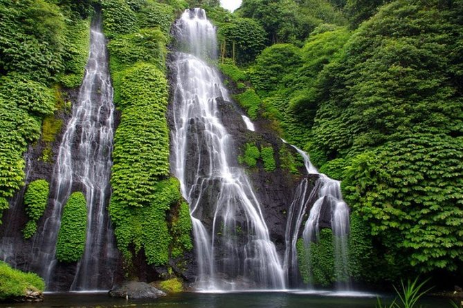 Banyumala Waterfall Tour - What You’re Really Buying on This Banyumala Waterfall Tour