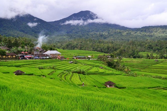 Beauty Of West Bali Tour (Private and All Inclusive) - Jatiluwih Green Land: The Rice Terraces Stop You’ll Remember