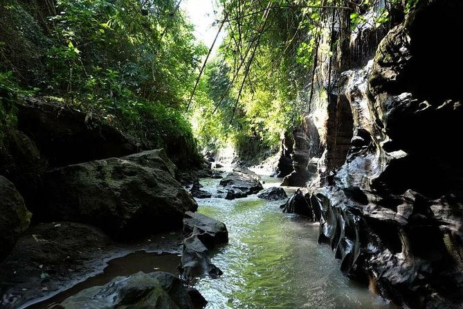 Beji Guwang Hidden Canyon Ticket Admission All Inclusive - Seminyak pickup and transfers: how the $42 value adds up