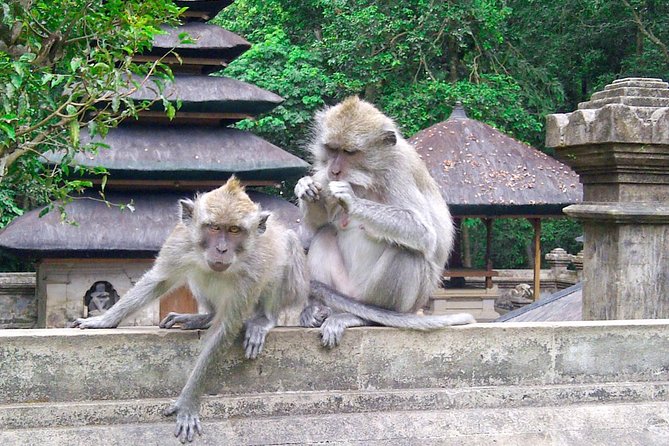 Best Bali Package Tour: 4 Days with Airport or Hotel Transfer - Day 2 Through Ubud: Batik, Gold, Wood Carving, Tirta Empul, and Kintamani Views