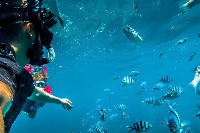 Best Bali Snorkeling at Blue Lagoon Beach: All-Inclusive - Tanjung Jepun in Amuk Bay: a second stop with more coral color