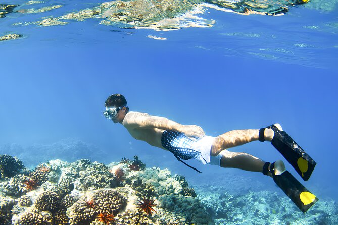Best Bali Snorkeling at Blue Lagoon Beach: All-Inclusive - Boat transfers and a professional snorkeling instructor: the real comfort wins