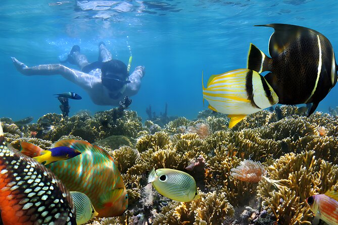 Best Bali Snorkeling at Blue Lagoon Beach: All-Inclusive - Lunch after saltwater: shower, changing room, and the set menu advantage