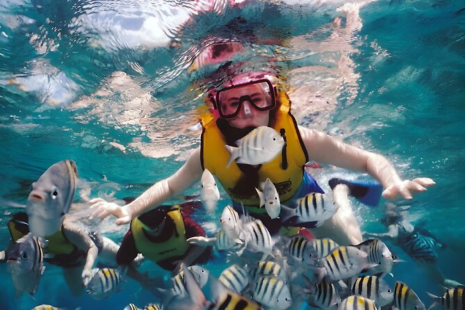 Best Bali Snorkeling at Blue Lagoon Beach: All-Inclusive - Who should book this Bali snorkeling day (and who might not)