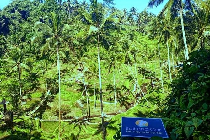 Best bali transport service - custom your own itinerary - Where you can go: choosing between Bali’s main regions from your private car