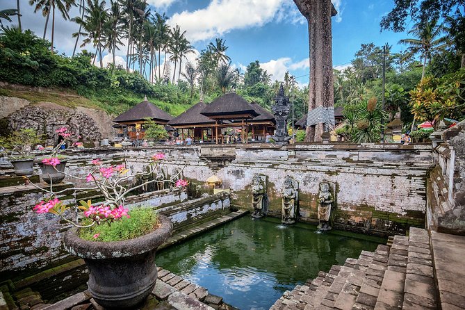 Best of Bali : Bali Temples , Rice Terrace and Waterfall Tour - Tegalalang rice terrace: timing, viewpoints, and how to get the shot