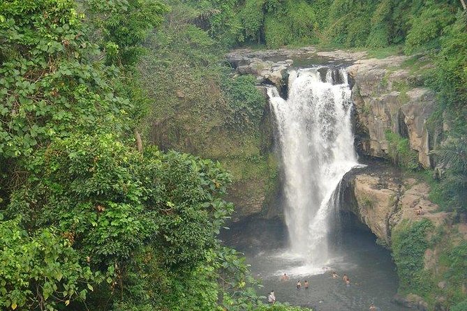 Best of Bali Jungle Swing with Ubud Sightseeing Tour - Sacred Monkey Forest Sanctuary: temples + macaques in the same breath