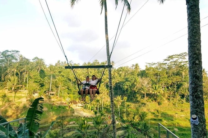 Best of Bali Jungle Swing with Ubud Sightseeing Tour - A coffee plantation stop that fits naturally into the route