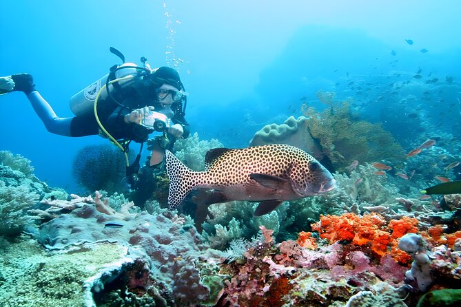 Best of Bali Water Sport Jumbo Packages - Snorkeling and Seawalker Helmet Activity: Getting Underwater Without Stress