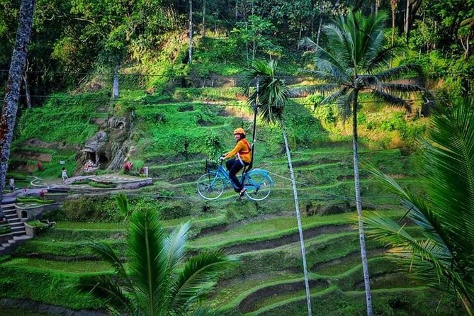 Best of Ubud - Full day Tour + FREE WI-FI - Wood carving and an ancient temple stop: what you’ll likely see