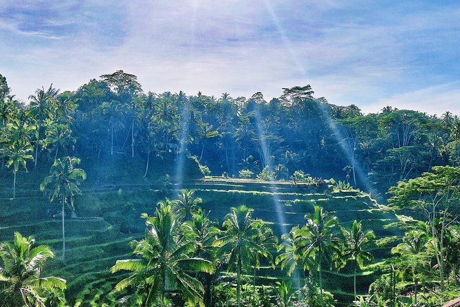 Best of Ubud - Full day Tour + FREE WI-FI - Price and logistics: what $32 buys, and what costs extra