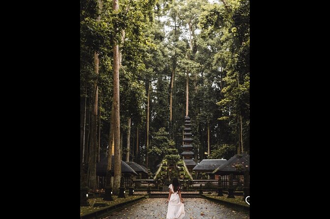Best of Ubud: Jungle, Temples & Swing - Stop 2: Tirta Empul Temple purification and healing focus