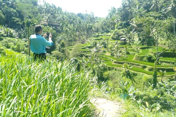 Best Of Ubud Scenic Full Day Private Guided Tour - Key things to know before you go