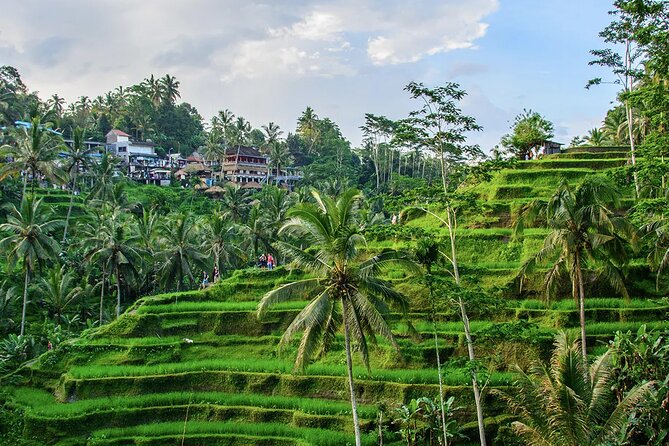 Best of Ubud Tours with Jungle Swing ( All Inclusive ) - Key highlights you’ll actually feel during the day