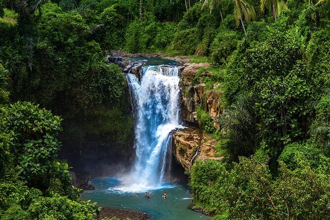 Best of Ubud Tours with Jungle Swing ( All Inclusive ) - Tegenungan Waterfall: easy access, real steps, and time to swim
