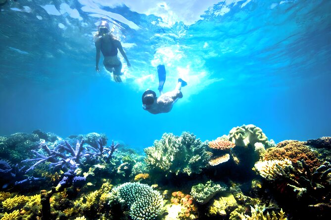 Best Snorkeling Activity in Blue Lagoon Beach Bali - Two snorkeling sessions at Blue Lagoon: what you’ll actually look for