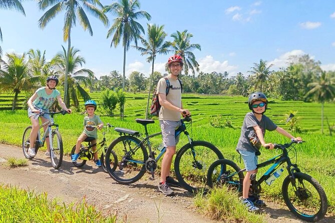 Bike ride in the rice fields, Bali countryside - Key highlights at a glance