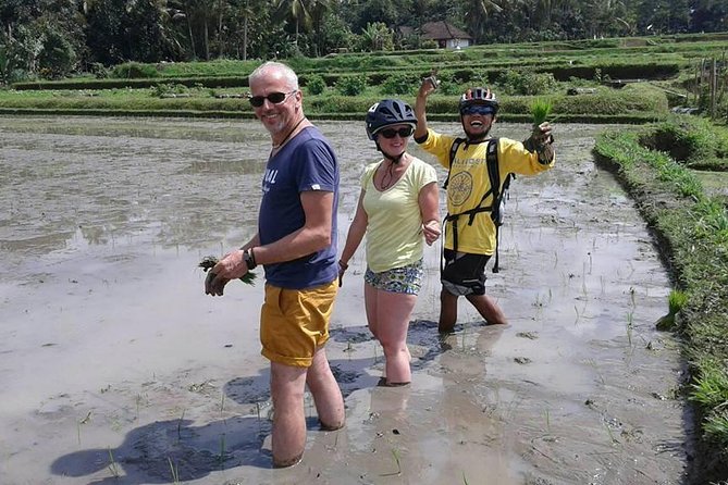 Bike ride in the rice fields, Bali countryside - How hard is it really? The flat-and-downhill reality