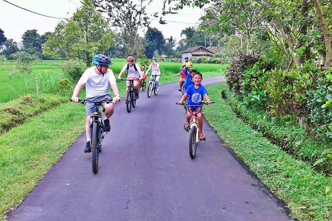 Bike ride in the rice fields, Bali countryside - The school stop: short, meaningful, and not always guaranteed