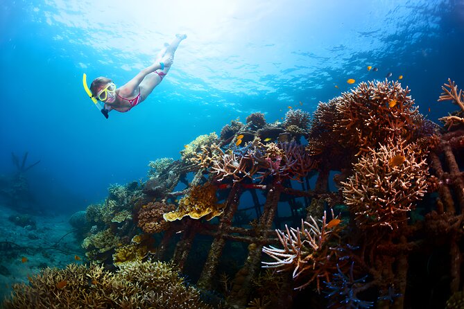 Blue Lagoon Snorkeling and The Gates of Heaven Tour - Price and value: is $90 worth it?