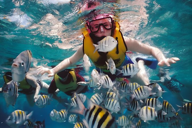 Blue Lagoon Snorkeling - Bali Best Snorkeling Site - The Comfort Details: Changing Rooms, Shower, and Padangbai Lunch
