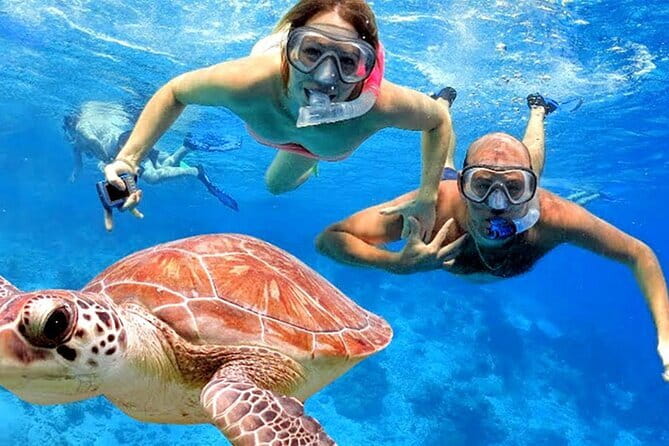 Blue Lagoon Snorkeling with Lunch and Private Transport - Two Hours Off Seminyak: The Real Appeal of This Quick Snorkel