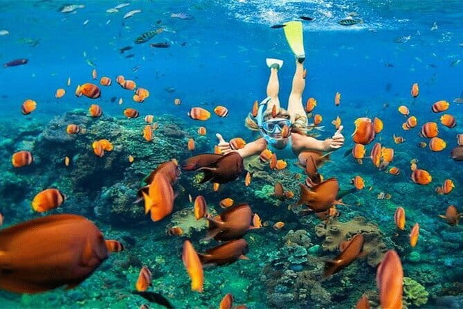 Blue Lagoon Snorkeling with Lunch and Private Transport - Lunch, Equipment, and Comfort Between Swim Times