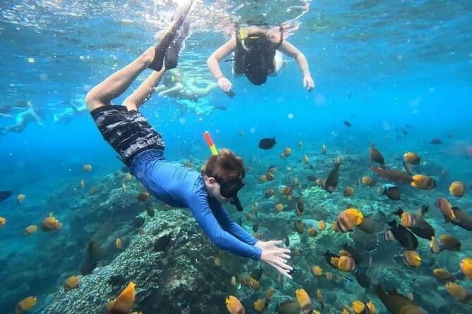 Blue Lagoon Snorkeling with Lunch and Waterfall in Ubud - Key Highlights Worth Planning Around