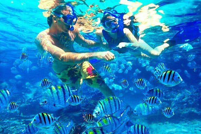 Blue Lagoon Snorkeling with Lunch and Waterfall in Ubud - Blue Lagoon Snorkeling at Ceningan: Two Stops and About Two Hours