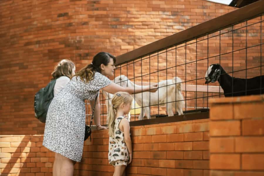 Canggu: Entry Ticket to Mai Main Indoor Playground - Key things you should know before you arrive