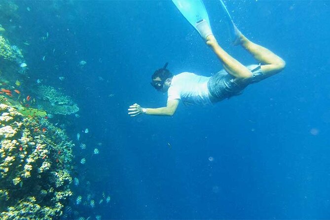 Combination Tour: Ayung river rafting With Blue Lagoon Snorkeling - Key Highlights You’ll Actually Care About