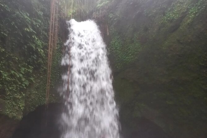 CRETYA Ubud infinity Pool + Hidden Water fall + Water Temple Tour - Oka Agro Wisata Lunch Plus Coffee and Herbal Tea Tasting