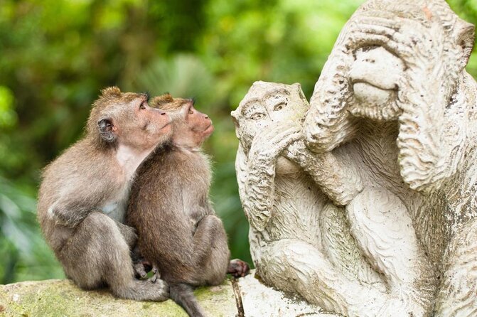 Custom Ubud Tour with Flexible Chauffeur - Key highlights worth planning around