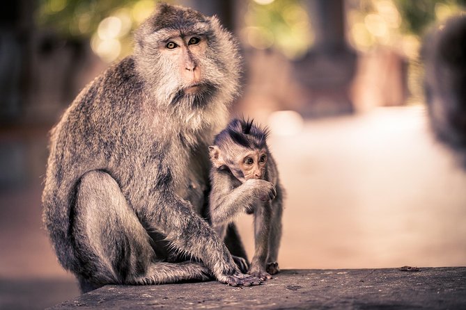 Customized Private Day Trip: Create your own tour itinerary - Key points before you go