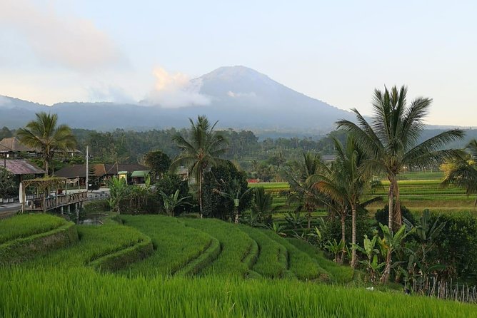 Customized Private Day Trip: Create your own tour itinerary - Stop 1: Tegalalang rice terraces with a smart, quick window