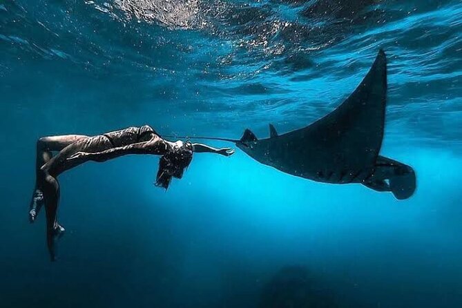 Day Trip: Nusa Penida Snorkling - Key highlights worth your time