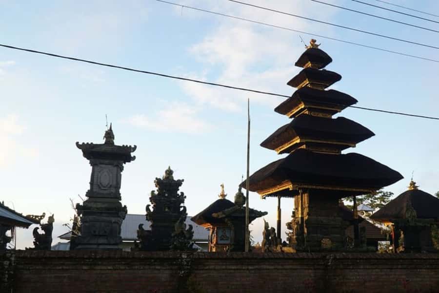 Denpasar: Private custom tour with a local guide - Practical questions to help you decide your best tour length
