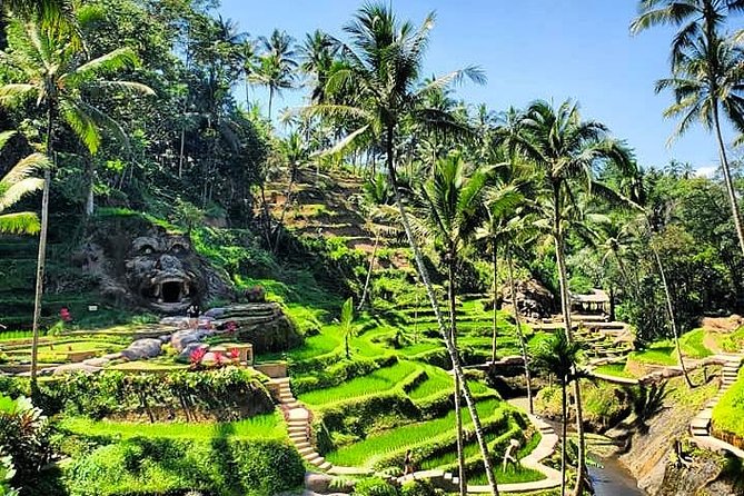Design Your Own Bali Tour - Price and Value: How $53.19 Makes Sense (or Doesn’t)
