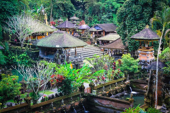 Discover Ubud: 2 Days Ubud Private Tour - Comfort, Timing, and What to Pack for This Style of Day