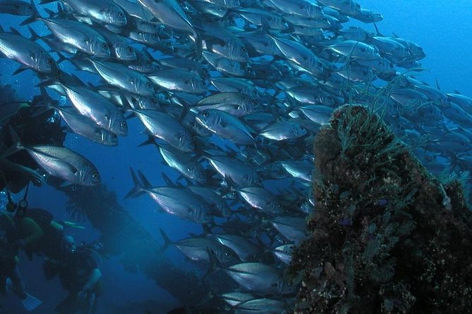 Dive at Tulamben Bali USS Liberty Ship Wreck - Tulamben’s USS Liberty: why this WWII wreck draws scuba fans