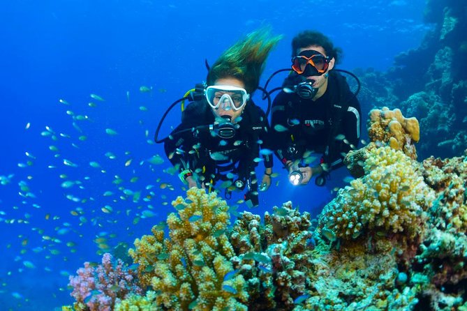 Dive at Tulamben Bali USS Liberty Ship Wreck - Two underwater sessions: why doing it twice is worth it