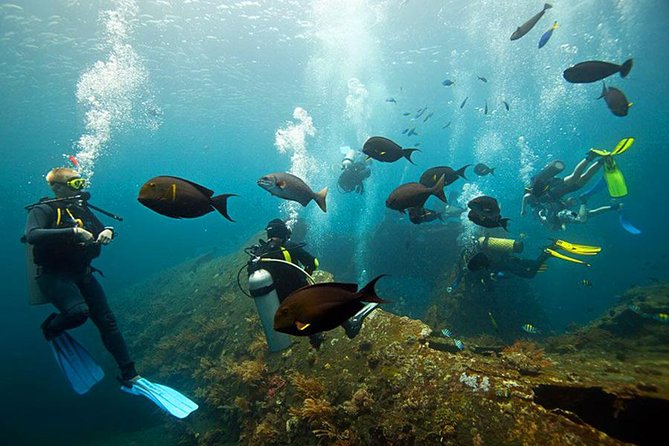 Dive at Tulamben Bali USS Liberty Ship Wreck - Gear, lunch, and small comforts that keep the day easy